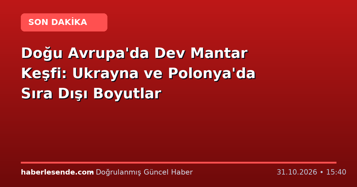Doğu Avrupa'da Dev Mantar Keşfi: Ukrayna ve Polonya'da Sıra Dışı Boyutlar