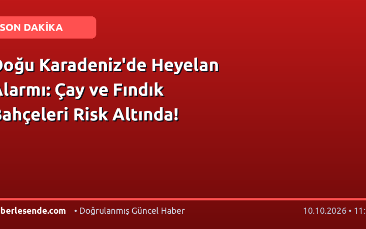 Doğu Karadeniz'de Heyelan Alarmı: Çay ve Fındık Bahçeleri Risk Altında!