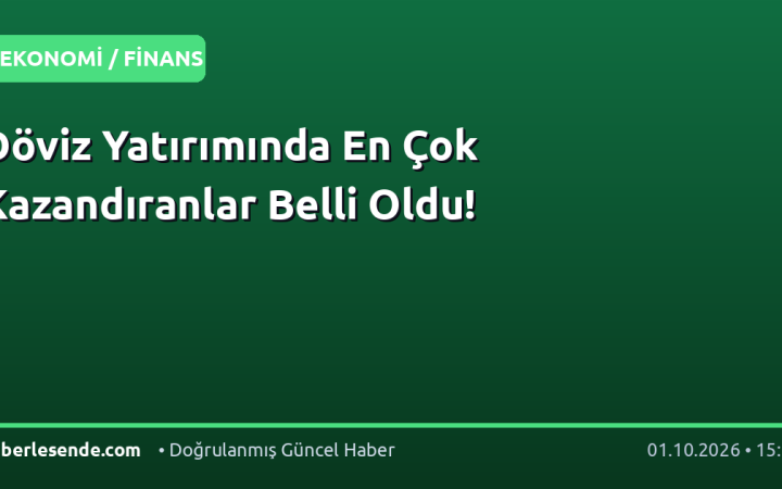 Döviz Yatırımında En Çok Kazandıranlar Belli Oldu!
