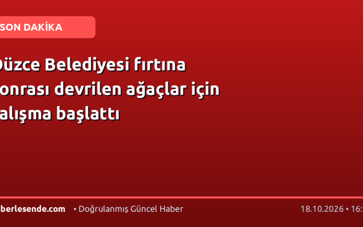 Düzce Belediyesi fırtına sonrası devrilen ağaçlar için çalışma başlattı