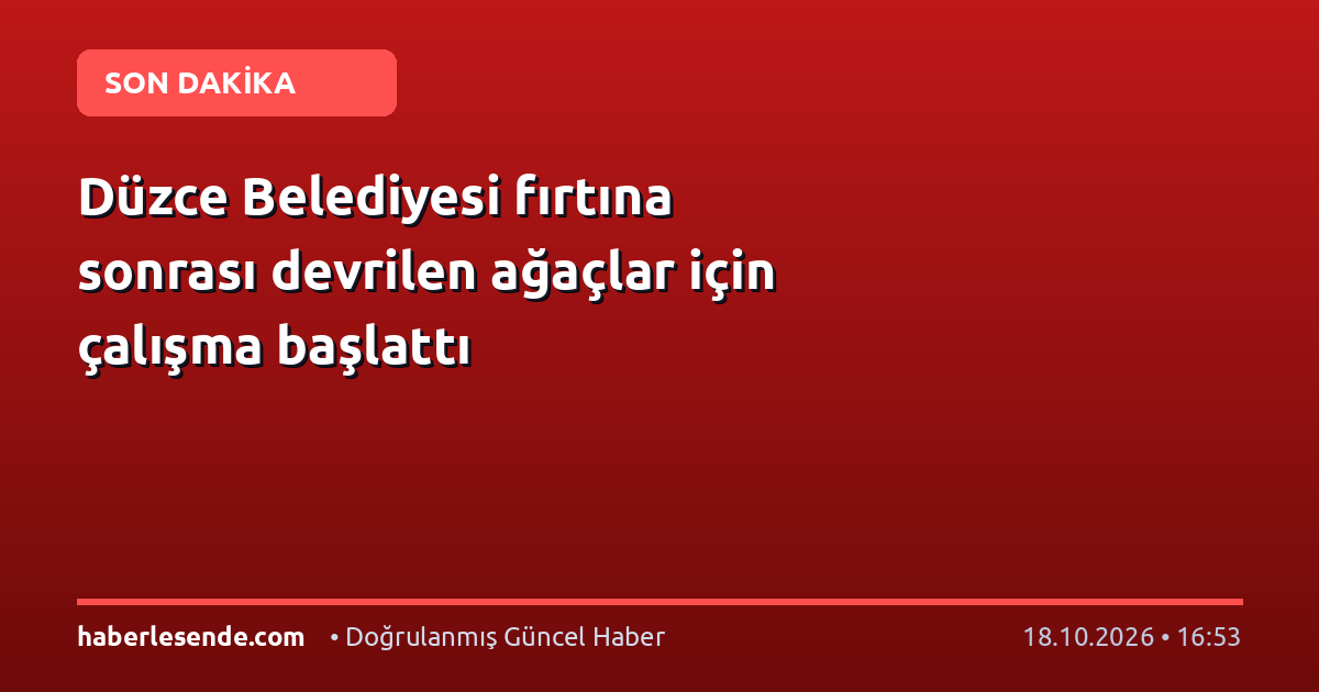 Düzce Belediyesi fırtına sonrası devrilen ağaçlar için çalışma başlattı