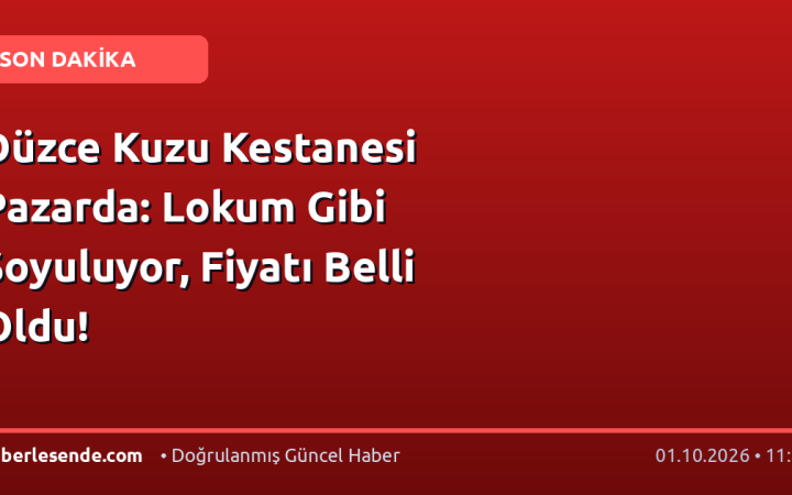Düzce Kuzu Kestanesi Pazarda: Lokum Gibi Soyuluyor, Fiyatı Belli Oldu!