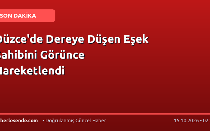 Düzce'de Dereye Düşen Eşek Sahibini Görünce Hareketlendi