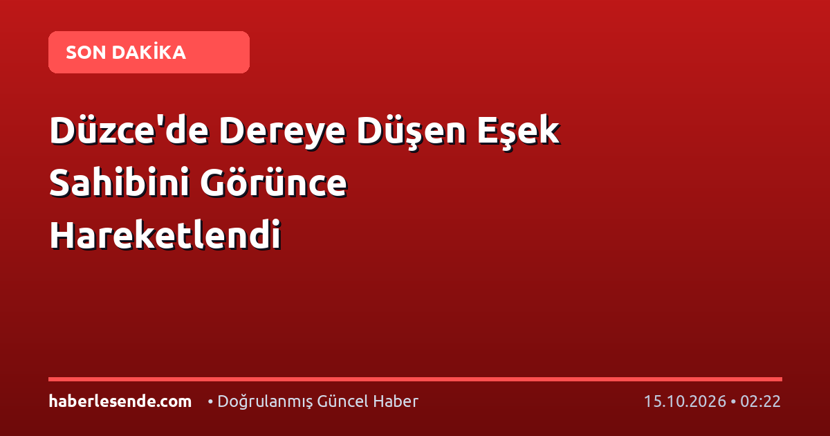 Düzce'de Dereye Düşen Eşek Sahibini Görünce Hareketlendi