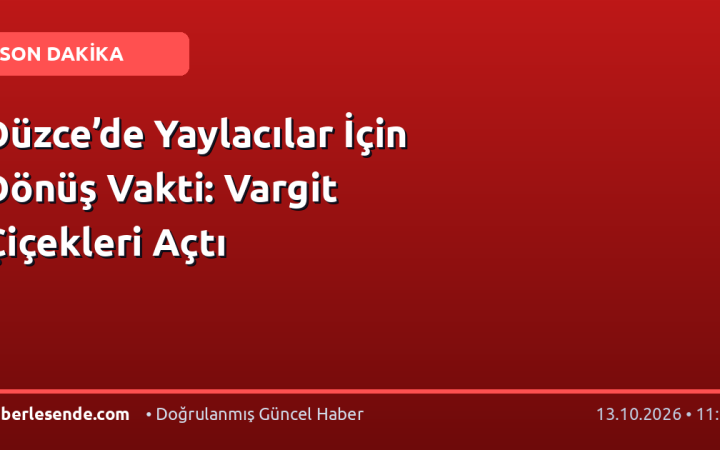 Düzce’de Yaylacılar İçin Dönüş Vakti: Vargit Çiçekleri Açtı