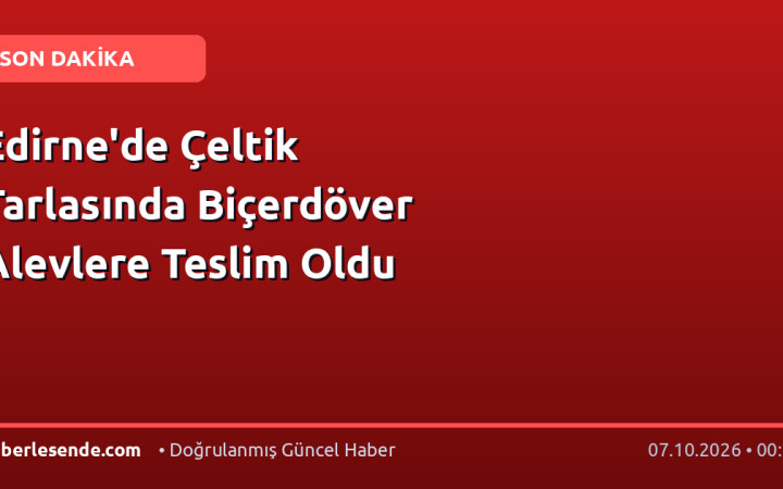 Edirne'de Çeltik Tarlasında Biçerdöver Alevlere Teslim Oldu