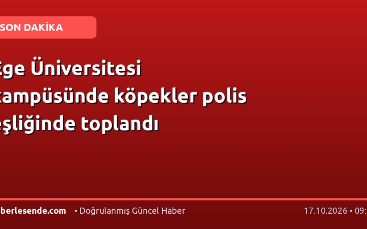 Ege Üniversitesi kampüsünde köpekler polis eşliğinde toplandı