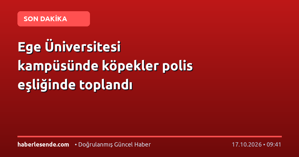 Ege Üniversitesi kampüsünde köpekler polis eşliğinde toplandı