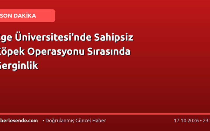 Ege Üniversitesi'nde Sahipsiz Köpek Operasyonu Sırasında Gerginlik