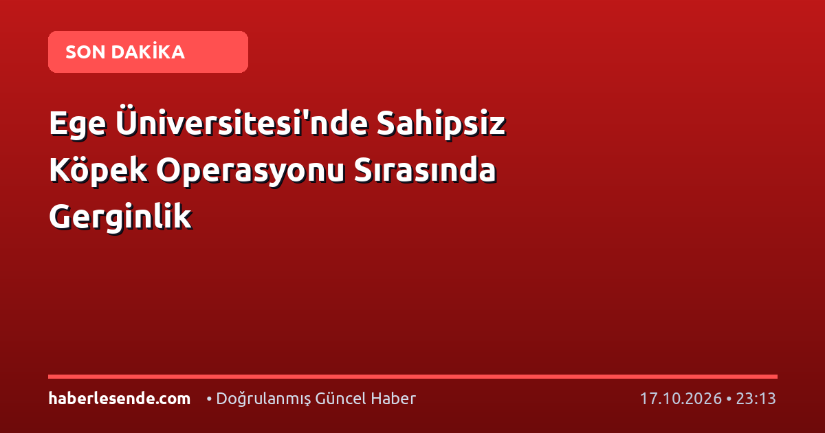 Ege Üniversitesi'nde Sahipsiz Köpek Operasyonu Sırasında Gerginlik