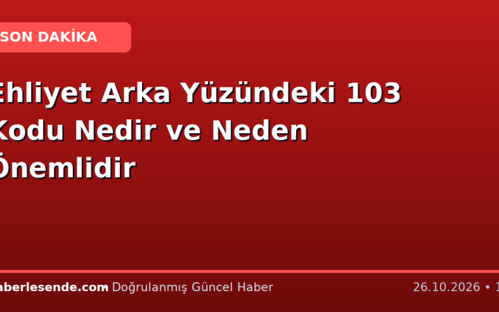 Ehliyet Arka Yüzündeki 103 Kodu Nedir ve Neden Önemlidir