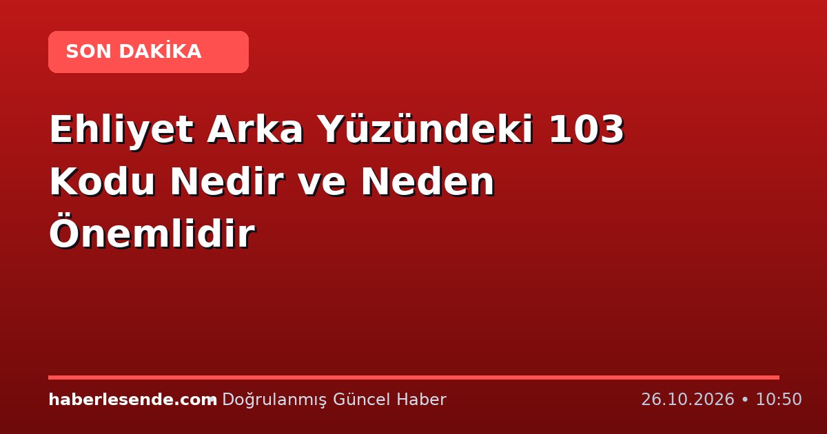 Ehliyet Arka Yüzündeki 103 Kodu Nedir ve Neden Önemlidir