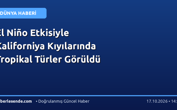 El Niño Etkisiyle Kaliforniya Kıyılarında Tropikal Türler Görüldü
