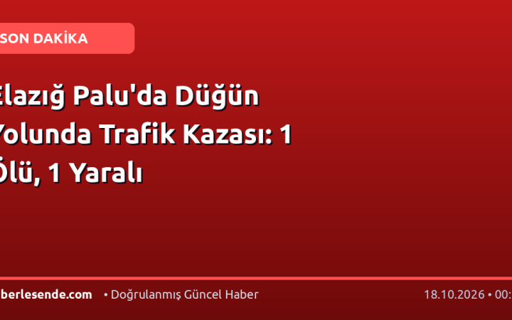 Elazığ Palu'da Düğün Yolunda Trafik Kazası: 1 Ölü, 1 Yaralı
