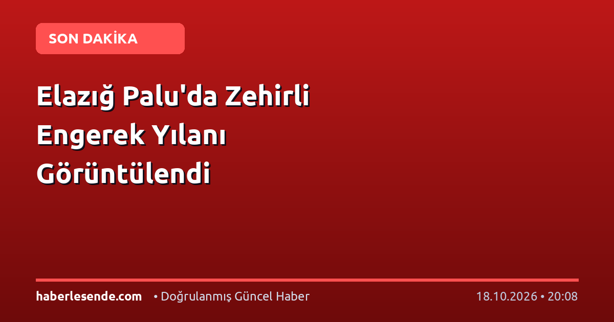 Elazığ Palu'da Zehirli Engerek Yılanı Görüntülendi