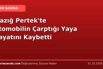 Elazığ Pertek'te Otomobilin Çarptığı Yaya Hayatını Kaybetti