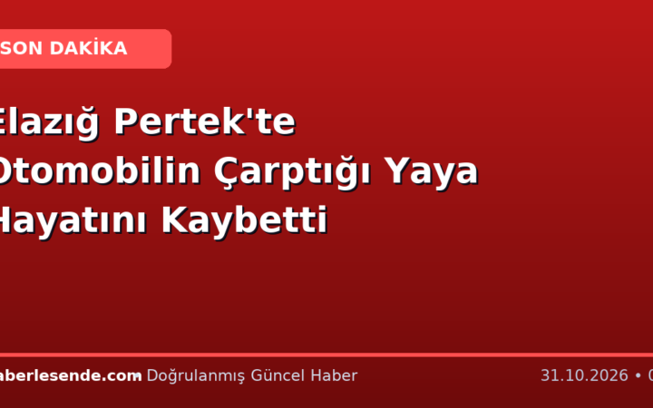 Elazığ Pertek'te Otomobilin Çarptığı Yaya Hayatını Kaybetti