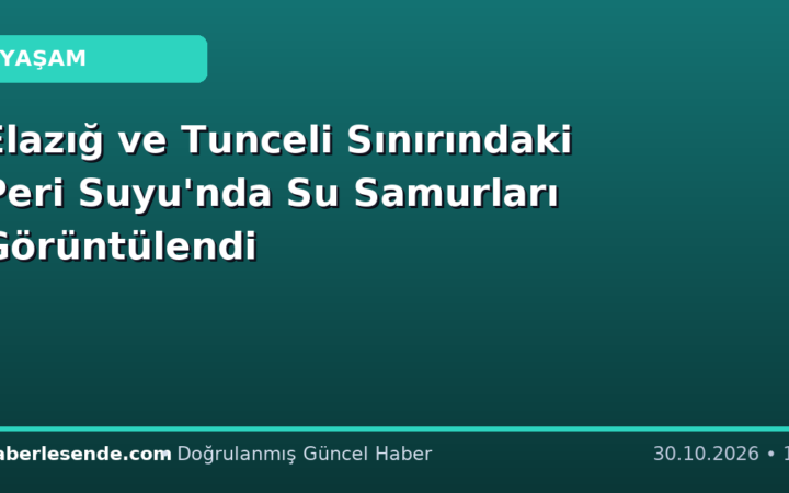 Elazığ ve Tunceli Sınırındaki Peri Suyu'nda Su Samurları Görüntülendi