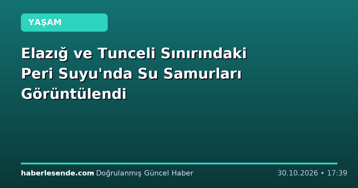 Elazığ ve Tunceli Sınırındaki Peri Suyu'nda Su Samurları Görüntülendi