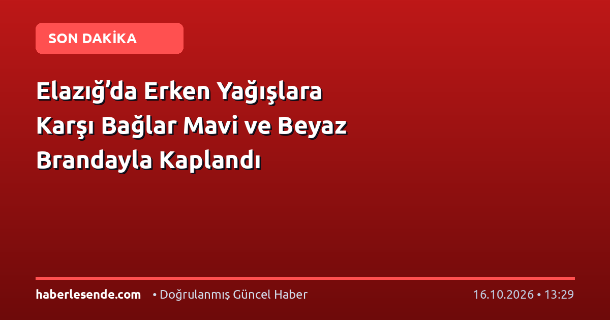 Elazığ’da Erken Yağışlara Karşı Bağlar Mavi ve Beyaz Brandayla Kaplandı