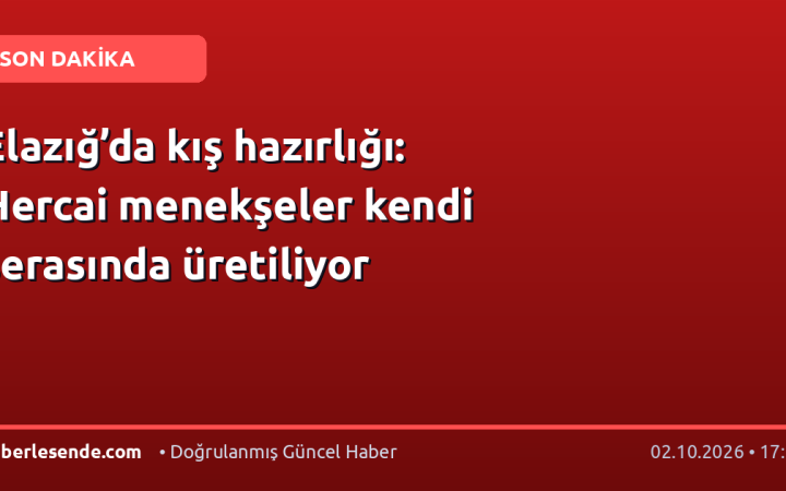 Elazığ’da kış hazırlığı: Hercai menekşeler kendi serasında üretiliyor