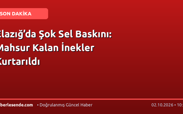 Elazığ’da Şok Sel Baskını: Mahsur Kalan İnekler Kurtarıldı