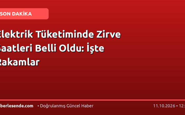 Elektrik Tüketiminde Zirve Saatleri Belli Oldu: İşte Rakamlar