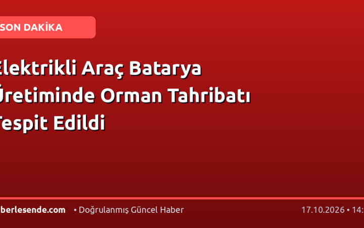 Elektrikli Araç Batarya Üretiminde Orman Tahribatı Tespit Edildi