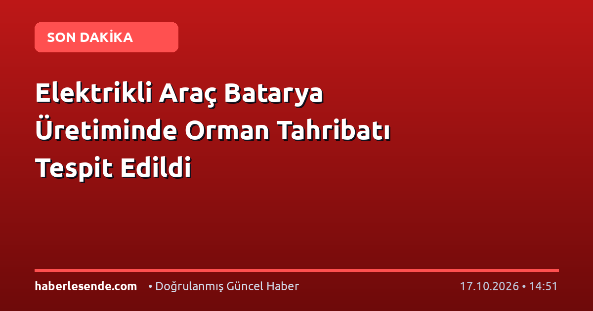 Elektrikli Araç Batarya Üretiminde Orman Tahribatı Tespit Edildi