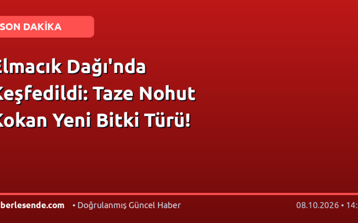 Elmacık Dağı'nda Keşfedildi: Taze Nohut Kokan Yeni Bitki Türü!
