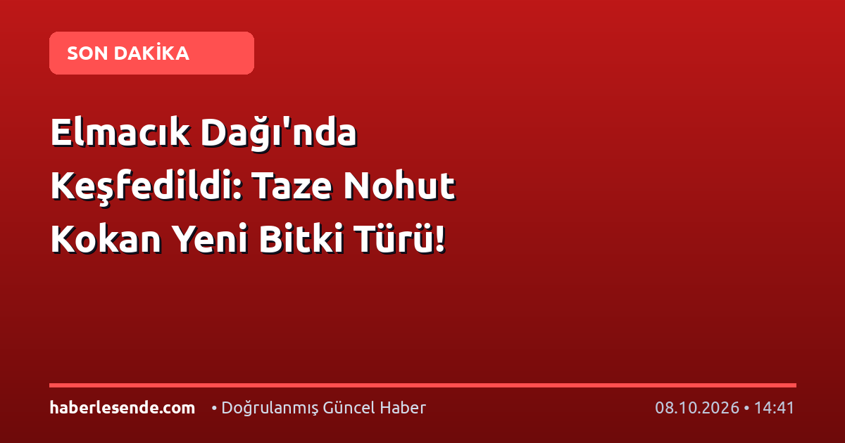 Elmacık Dağı'nda Keşfedildi: Taze Nohut Kokan Yeni Bitki Türü!
