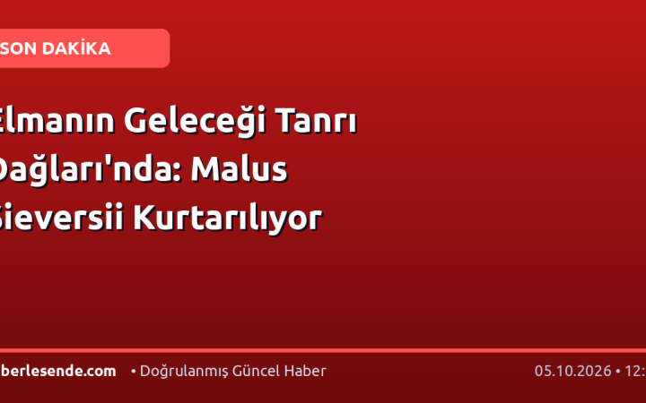 Elmanın Geleceği Tanrı Dağları'nda: Malus Sieversii Kurtarılıyor