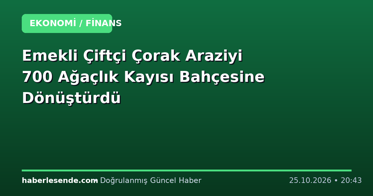 Emekli Çiftçi Çorak Araziyi 700 Ağaçlık Kayısı Bahçesine Dönüştürdü