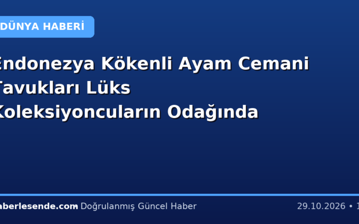 Endonezya Kökenli Ayam Cemani Tavukları Lüks Koleksiyoncuların Odağında
