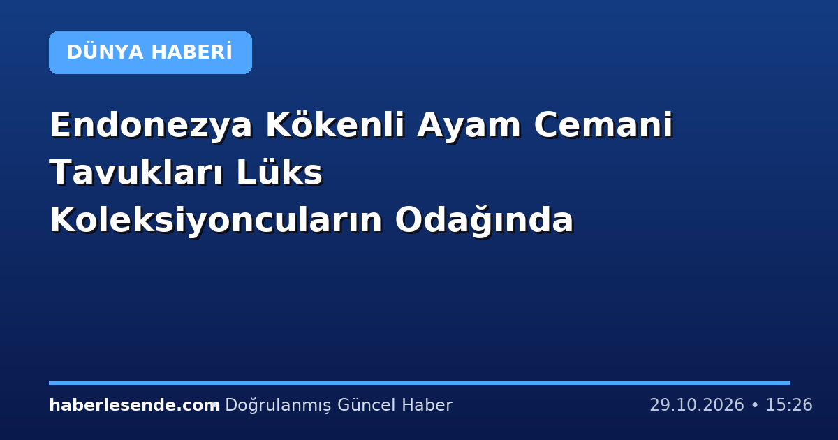 Endonezya Kökenli Ayam Cemani Tavukları Lüks Koleksiyoncuların Odağında