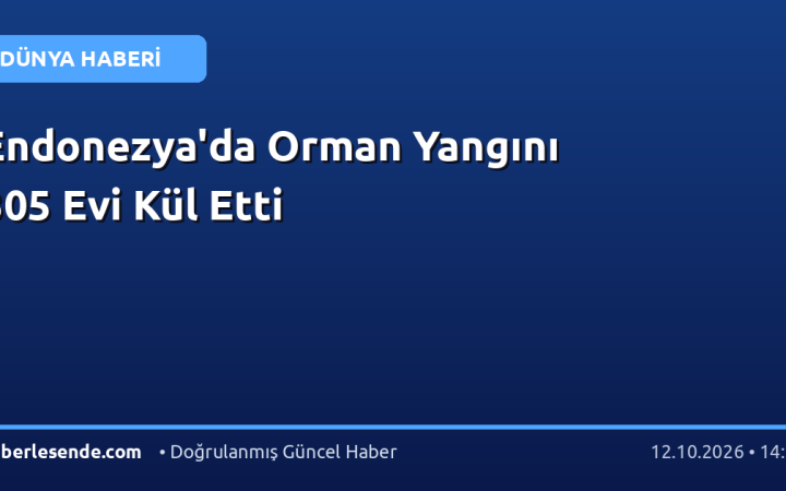 Endonezya'da Orman Yangını 305 Evi Kül Etti