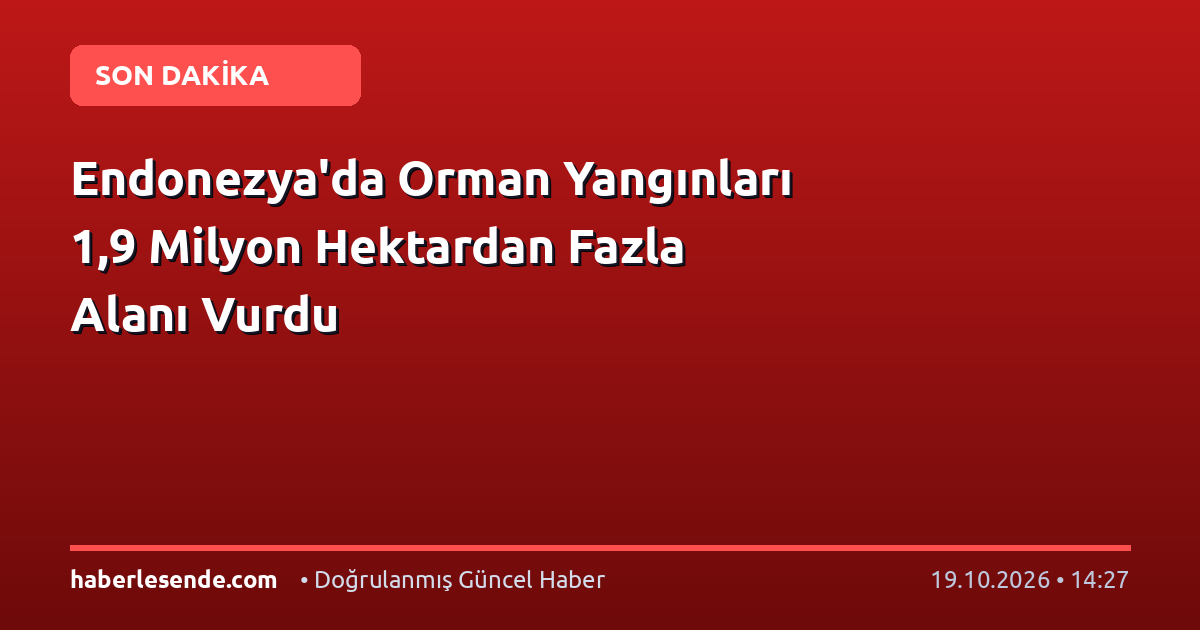 Endonezya'da Orman Yangınları 1,9 Milyon Hektardan Fazla Alanı Vurdu