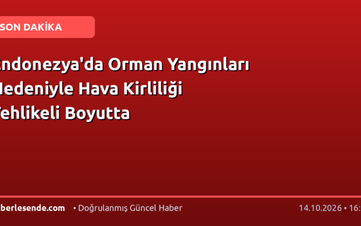 Endonezya'da Orman Yangınları Nedeniyle Hava Kirliliği Tehlikeli Boyutta