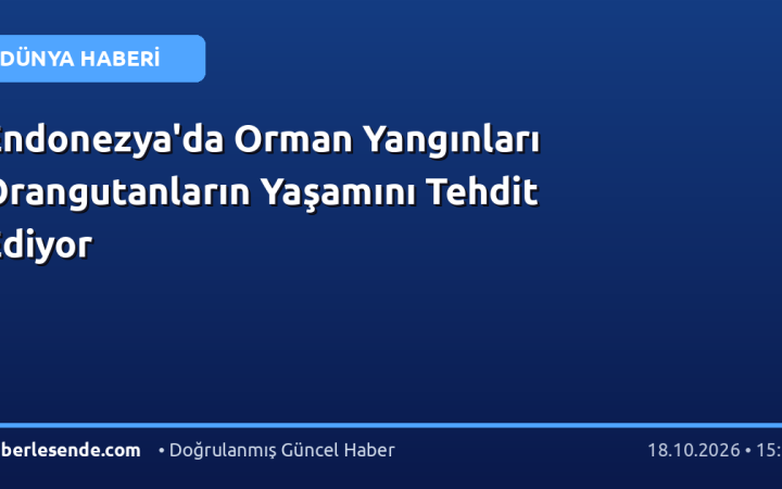 Endonezya'da Orman Yangınları Orangutanların Yaşamını Tehdit Ediyor