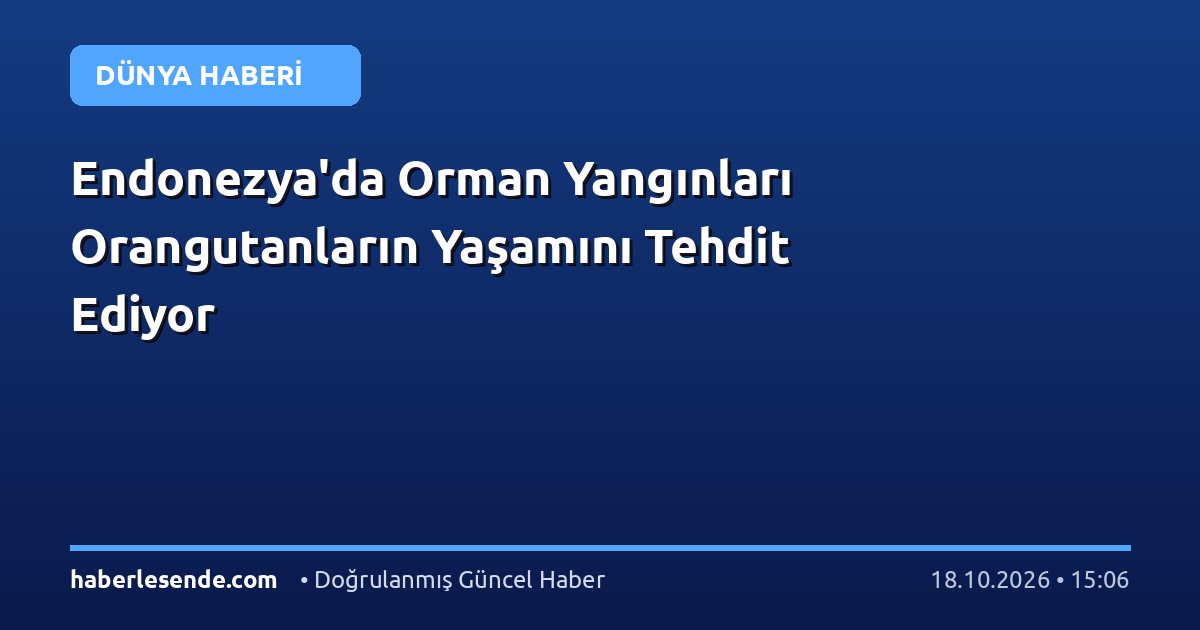 Endonezya'da Orman Yangınları Orangutanların Yaşamını Tehdit Ediyor