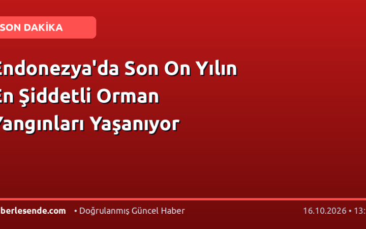 Endonezya'da Son On Yılın En Şiddetli Orman Yangınları Yaşanıyor