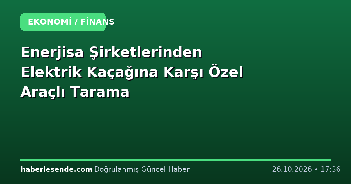 Enerjisa Şirketlerinden Elektrik Kaçağına Karşı Özel Araçlı Tarama