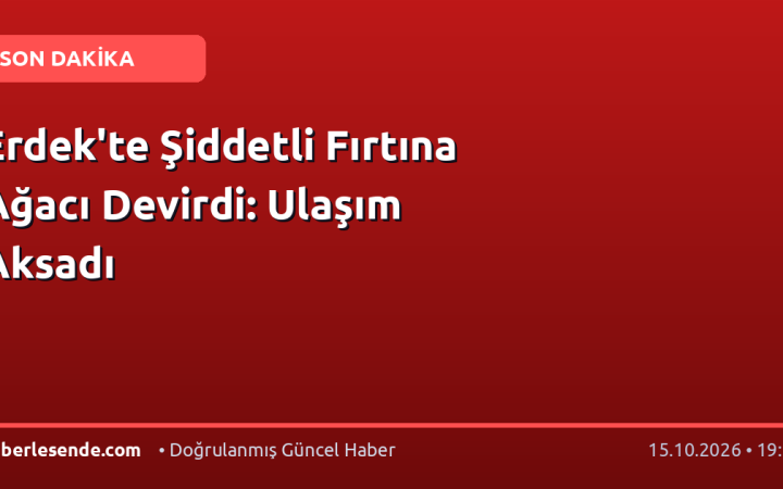 Erdek'te Şiddetli Fırtına Ağacı Devirdi: Ulaşım Aksadı