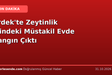 Erdek'te Zeytinlik İçindeki Müstakil Evde Yangın Çıktı