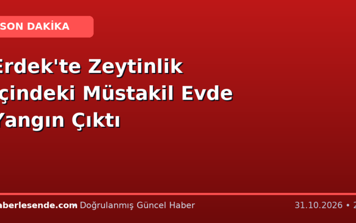 Erdek'te Zeytinlik İçindeki Müstakil Evde Yangın Çıktı