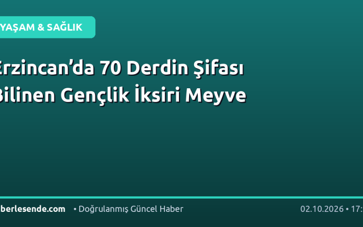 Erzincan’da 70 Derdin Şifası Bilinen Gençlik İksiri Meyve