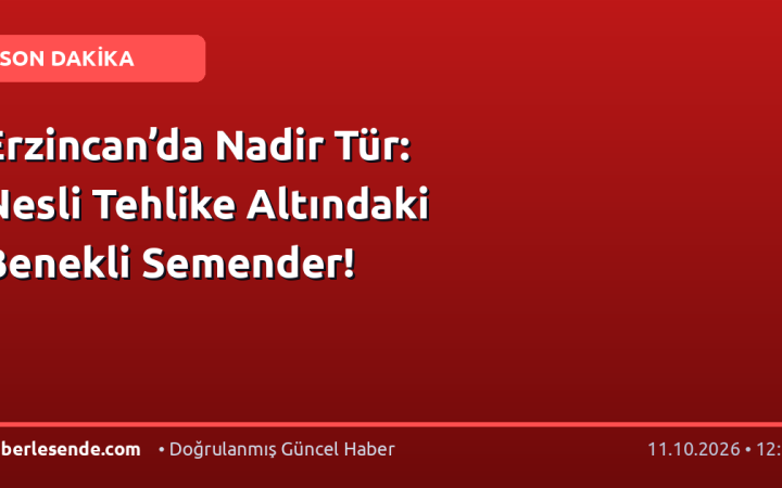 Erzincan’da Nadir Tür: Nesli Tehlike Altındaki Benekli Semender!