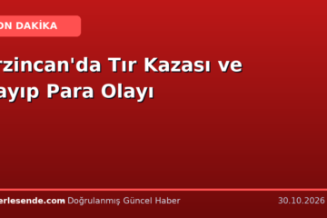 Erzincan'da Tır Kazası ve Kayıp Para Olayı