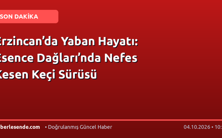Erzincan’da Yaban Hayatı: Esence Dağları’nda Nefes Kesen Keçi Sürüsü