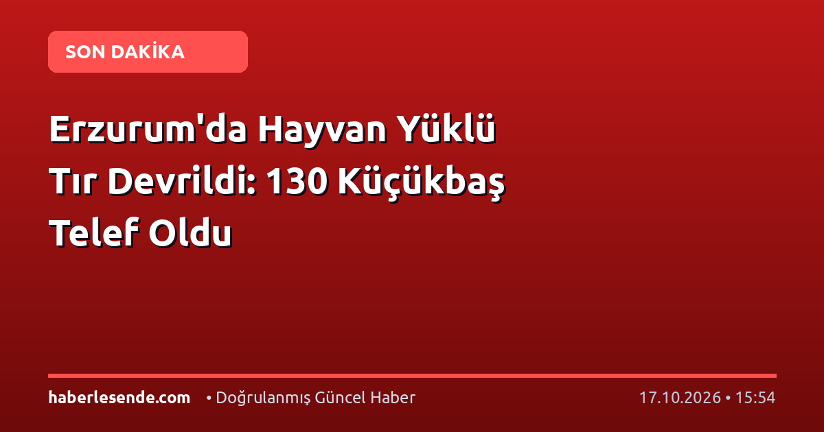 Erzurum'da Hayvan Yüklü Tır Devrildi: 130 Küçükbaş Telef Oldu